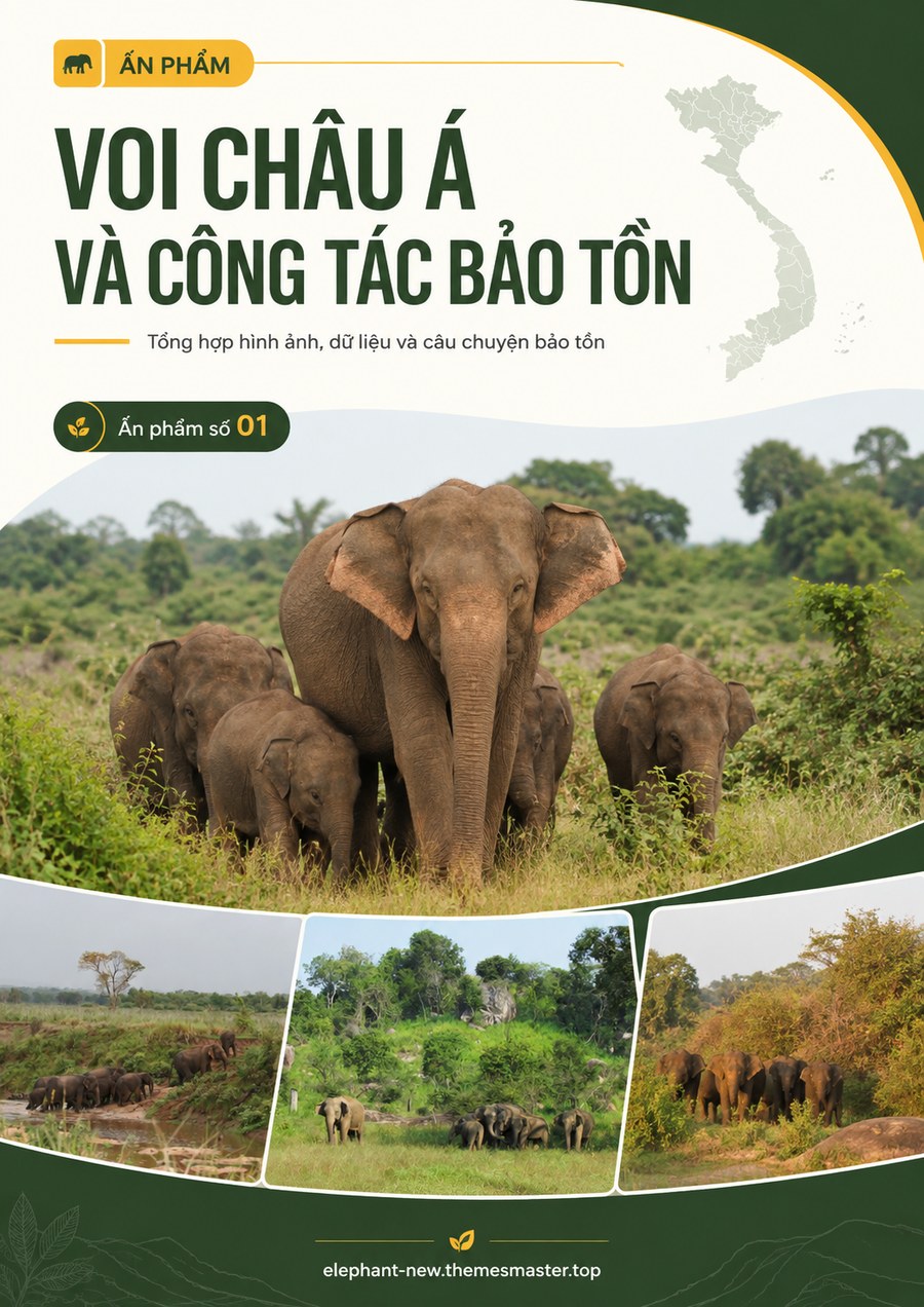 Bìa ấn phẩm Voi châu Á và công tác bảo tồn