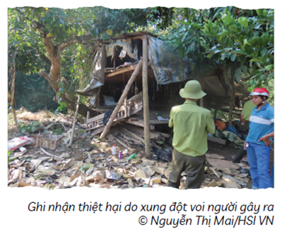 Tình trạng bảo tồn voi