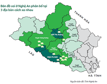 Tình trạng bảo tồn voi